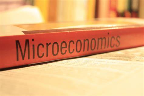 AP微观经济学主要课程要点总结