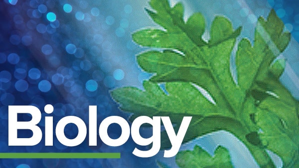 知识点解析:ap生物学什么?