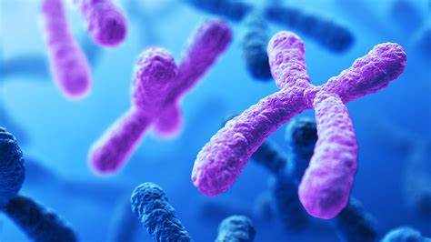 2021年AP生物考试内容及考试时间解析